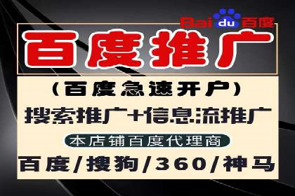 SEM代理助力品牌：案例解析，优化策略全揭秘